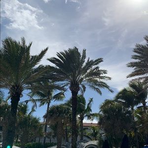 Meet your Posher, Julia